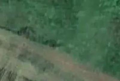 Teren extravilan de vanzare 5 000 mp Techirghiol Agigea cu potential de intrare in intravilan Teren extravilan de vanzare 5 000 mp Techirghiol Agigea cu potential de intrare in intravilan - 3