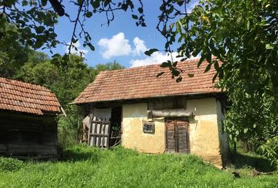 Casă cu 3 camere în Mociu - 1