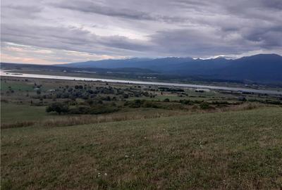 Teren de 8900 mp, în Bradu