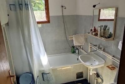 Casă de vânzare în Serbia – Modoș (Jaša Tomić), la doar 50 km de Timișoara - 13