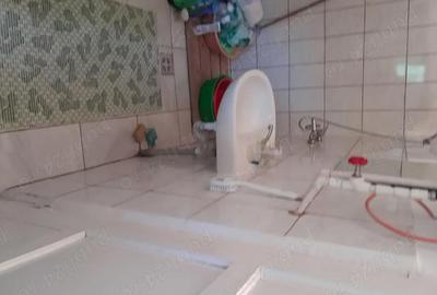 Casă cu 3 camere cu Teren 1600 Mp în Zau de Câmpie - 6