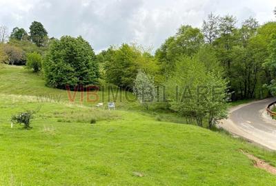 Teren de vanzare Breaza – Nistoresti, Str. Muresului - 9