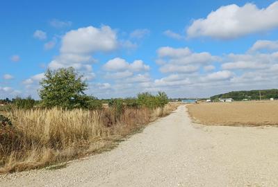 Ciolpani, Izvorani, apropiere padure si COR - 4