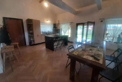 Casă cu 3 camere cu Teren 1285 Mp în Brezoi - 9