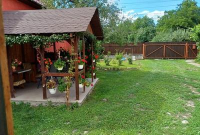 Teren Construcții intravilan de 2120 mp, în Gilău - 5