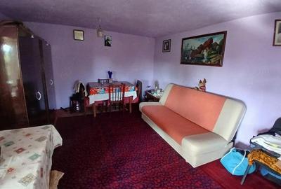 Casă cu 4 camere cu Teren 2700 Mp în Șișești - 7