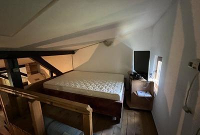 Casa-langa studiourile Buftea, 2 constructii, curte cu pomi, 2500mp, langa lac - 24