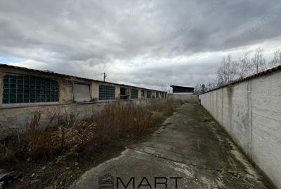 Hala industriala in Prejmer 470 mp + curte 500 mp - 6