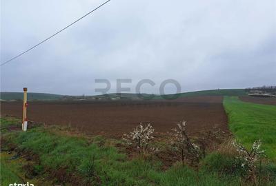 Spațiu comercial, în Viișoara