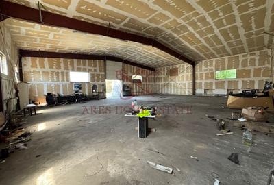 Spațiu industrial/depozit 228 mp - Moșnița Nouă. Fostele hale Avicola. - 8