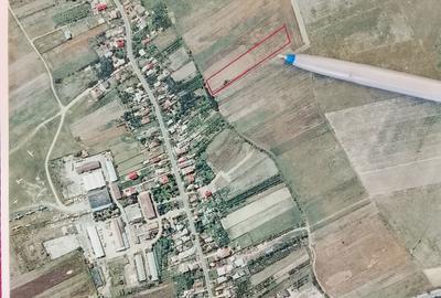 Teren de 6343 mp, în Geamăna - 3