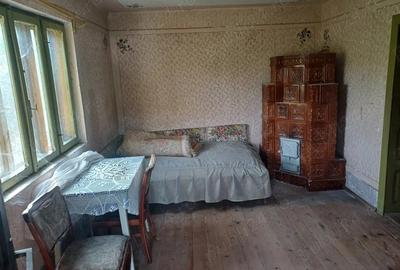 Casă cu 4 camere cu Teren 9000 Mp în Cotmeana - 2