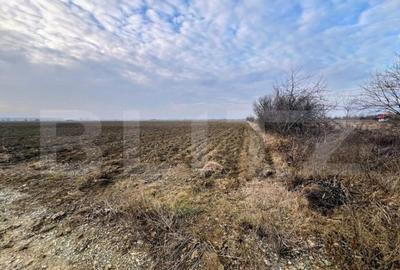 Oportunitate-Teren intravilan de vanzare, 5000 mp, zona Comu Oportunitate-Teren intravilan de vanzare, 5000 mp, zona Comu - 2