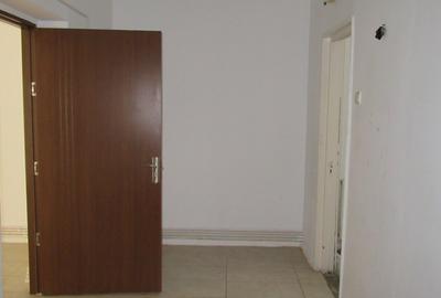 Inchiriere spatiu comercial Teiul Doamnei - 26