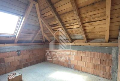 Casa individuala cu 5 camere,3 bai si garaj,Becicherecul Mic - 12