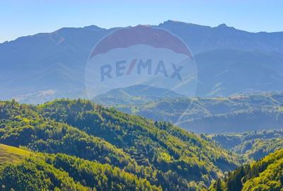COMISION 0% Teren 10,594mp Pestera /Intravilan - 4