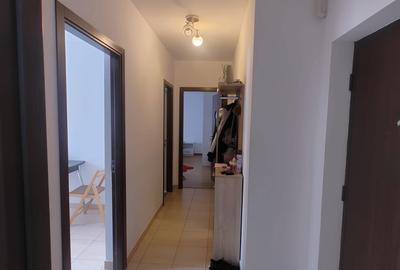 Apartament cu 2 camere decomandat în Turnișor - 4