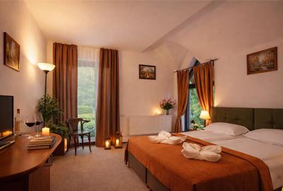 Pensiune Poiana Brasov, Central, oportunitate investitie de - 8