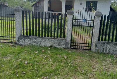 De vanzare casa si teren in Dealu Launele Valcea - 1