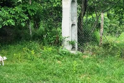 Teren de 5700 mp, în Central - 11