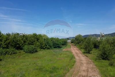 Teren de 11533 mp, în Merișor - 4