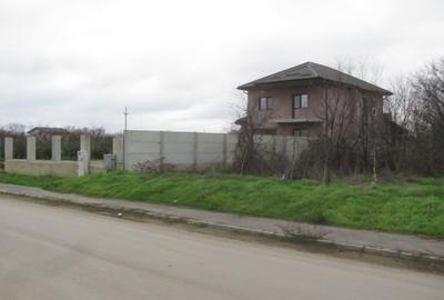 Cornetu - Crizantemelor, Stradal - 8