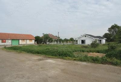 Teren de 490 mp, în Bodrogu Nou