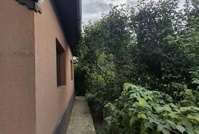 Vila 4 camere + teren 818 mp central Provita de Sus (lângă școală) - 31