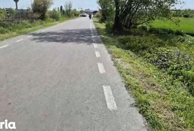 Teren de 5000 mp, în Central - 3