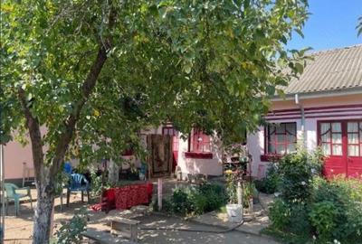Casă cu 3 camere cu Teren 2498 Mp în Amărăști - 3