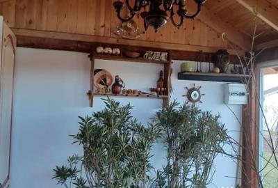 Casă cu 4 camere cu Teren 600 Mp în Tișăuți - 10