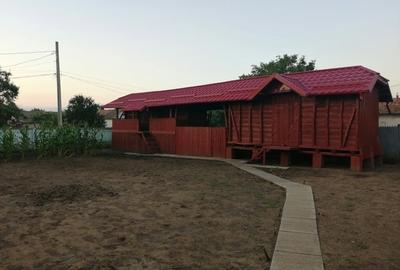 Casă cu 4 camere cu Teren 4100 Mp în Obârșia - 5