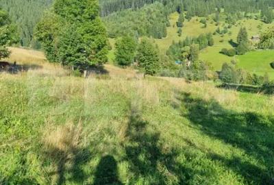 Teren de 2500 mp, în Central