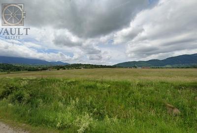 Teren Construcții intravilan de 10000 mp, în Tohanu Nou - 4
