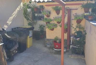 Casă cu 6 camere cu Teren 230 Mp în Viile Noi - 3