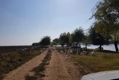 Teren în Vidra - 5