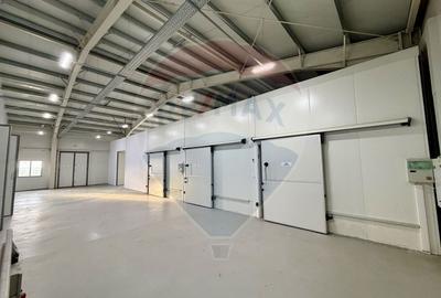 Spațiu industrial, de 700 mp, în Piscu - 6