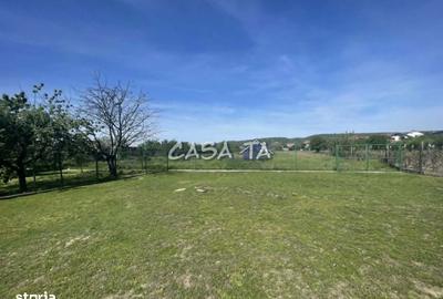 Spațiu comercial, în Șișești - 1