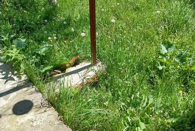 Casa 2 camere plus living - 3