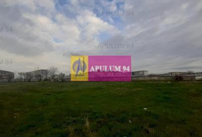 Teren Construcții intravilan de 1055 mp, în Berceni - 10