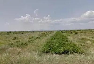 Teren extravilan cota parte 1/3 Cernatesti , ID: R2586146 - 2