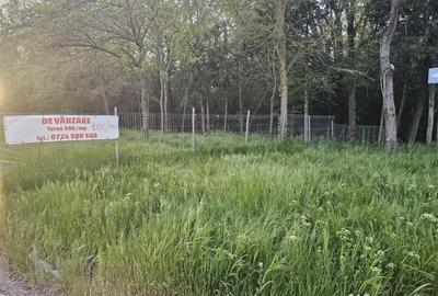 Teren de 500 mp, în Hipodrom - 8