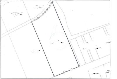 Teren intravilan ,9.880 mp, front 63 mp BACIU - 1