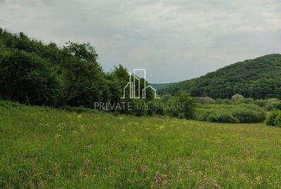 Teren de vanzare, 20.000Mp , Comuna Danes, drumul Crisului - 13
