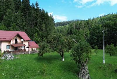 Casă individuală cu 4 camere cu Teren 1768 Mp în Cacica - 14