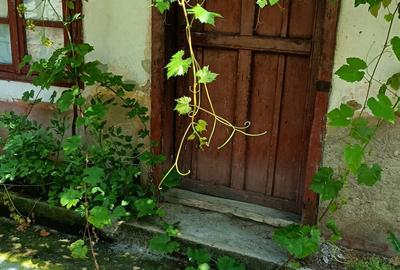 Casa de vanzare in Garli?te - 10