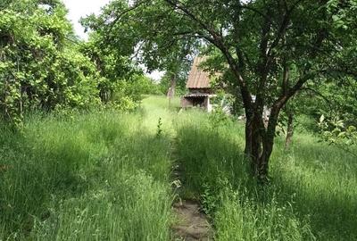 Casă cu 2 camere în Glăjărie - 4