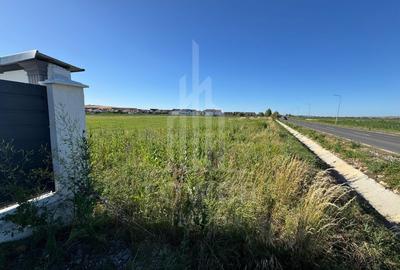 Teren 2500mp Sura Mica - Ocna Sibiului | 162.500 EUR - EXCLUSIVITATE - 4