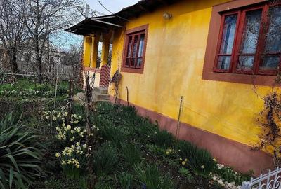 Casă cu 3 camere cu Teren 6100 Mp în Constantinești - 4