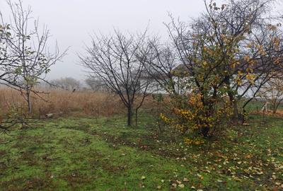 Teren intravilan 12.511 mp | Potoceni – Mărăcineni | Ideal pentru dezvoltare rez - 6